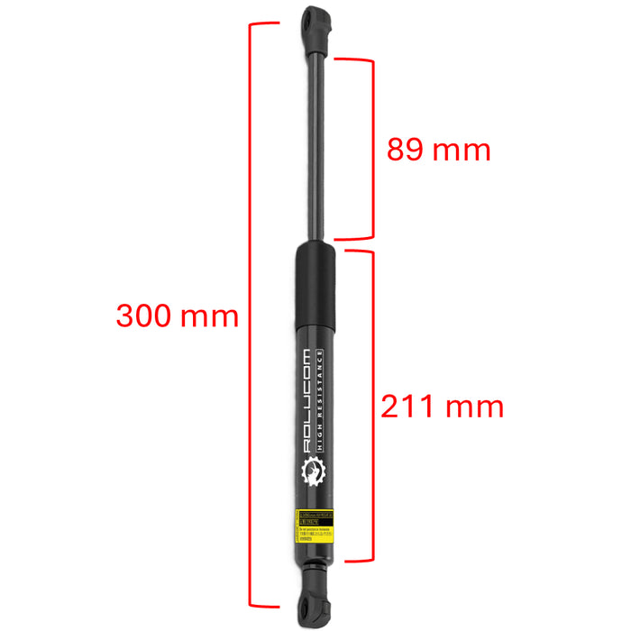 Gato Amortiguador Ford Fusion Con Spoiler 2007-2009 Tapa Maleta X2