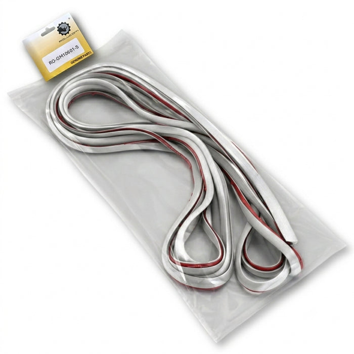 Goma de buche