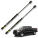 Gato Amortiguador Ford F-150 Fx4 2004-2008 Capot X2 AMORTIGUADOR CAPOT