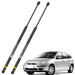 Gato Amortiguador Ford Focus Hatchback 2000-2008 Compuerta X2 AMORTIGUADOR COMPUERTA