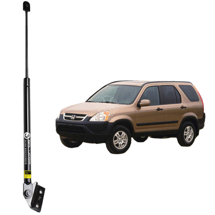 Gato Amortiguador Honda Crv 2002-2006 Compuerta AMORTIGUADOR COMPUERTA