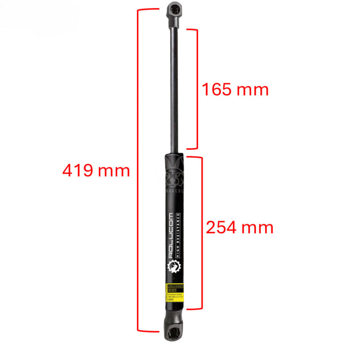 Gato Amortiguador Renault Megane 2 Hatchback 2002-2008 Compuerta X2 AMORTIGUADOR COMPUERTA