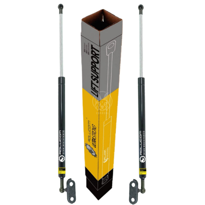 Gato Amortiguador Toyota 4Runner 2003-2009 Compuerta X2 AMORTIGUADOR COMPUERTA